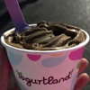 YogurtLand gallery