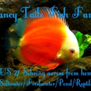 Fancy Tails Fish Farm - Aquariums & Aquarium Supplies