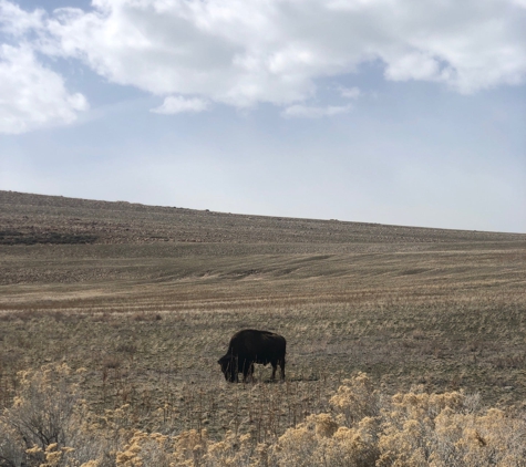 Antelope Island State Park - Syracuse, UT