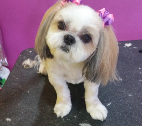 Best in Show Dog Grooming - Brookings, OR