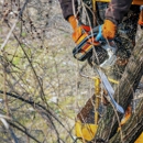 Mendez Tree Removal - Tree Service