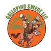 Galloping Swede Construction gallery