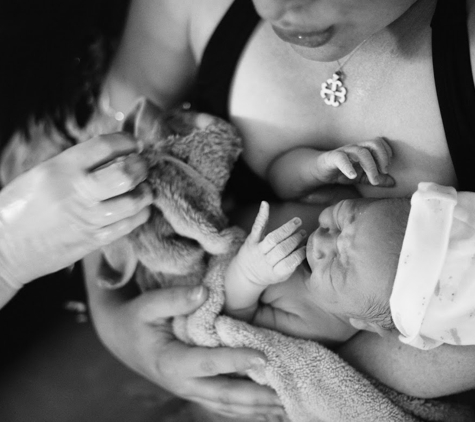 Blissful Births and Babies Doula and Hypnobirthing Services - Bolingbrook, IL