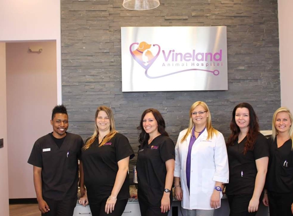 Vineland Animal Hospital - Orlando, FL