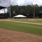 Savannah Sand Gnats