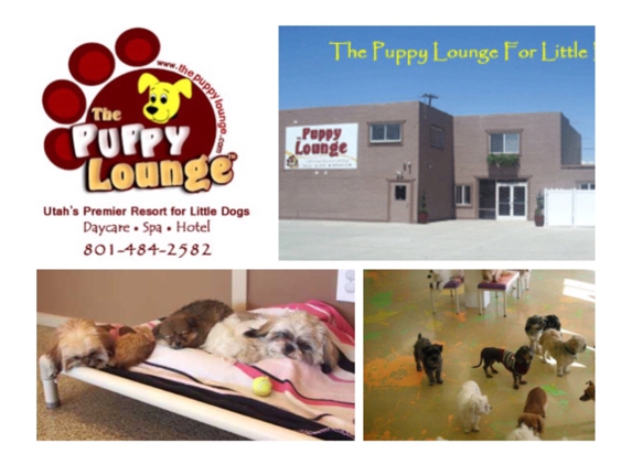 The Puppy Lounge - South Salt Lake, UT. Pink and sparkly!