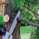 Guardian Tree Solutions - Tree Service