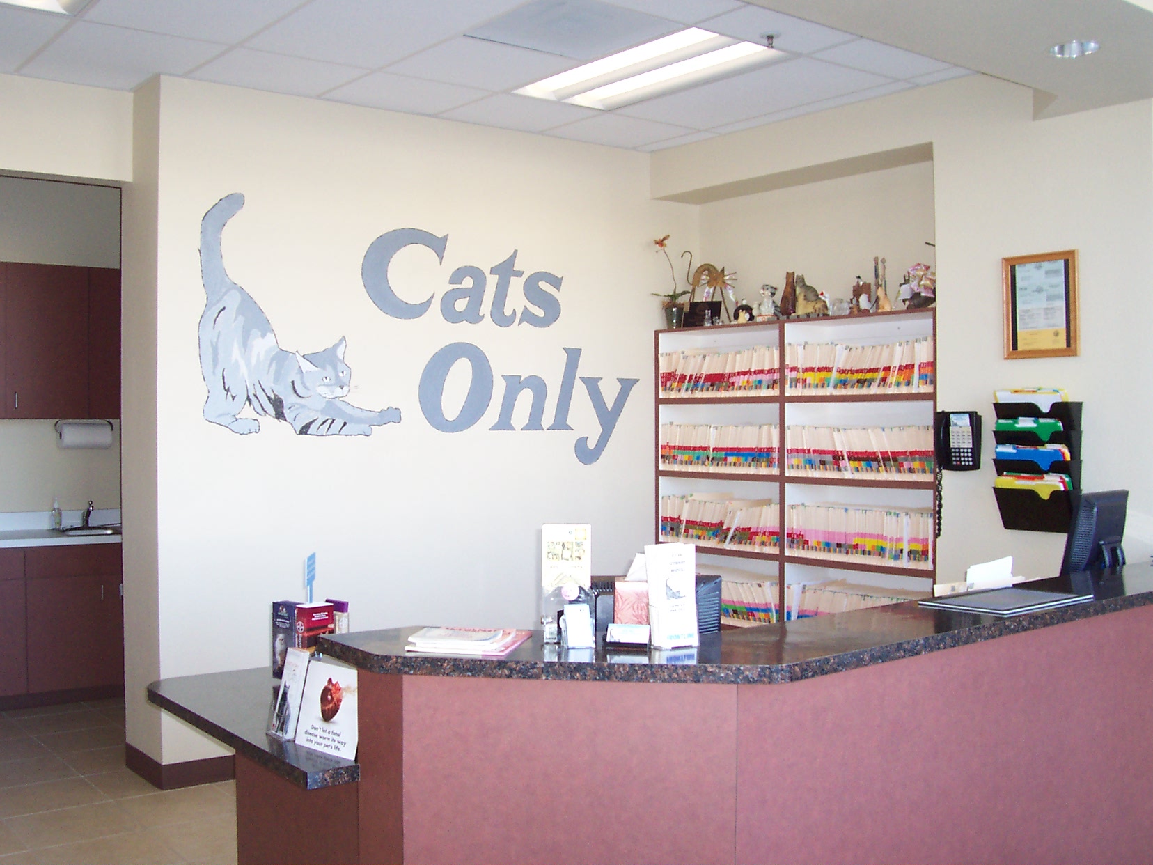 Rocklin, CA Veterinary Blog