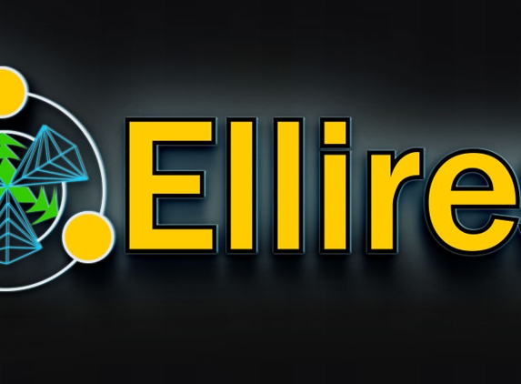 ellires llc - Atlanta, GA