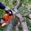 Briggs Tree Service & Landscaping gallery
