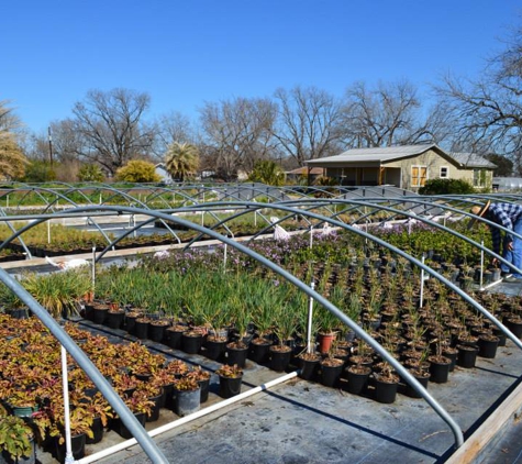 Barton Springs Nursery Wholesale - Conrad Bering III - Austin, TX