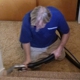 Neal Carpet Care-LA