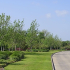 Southern Services Landscape & Irrigation