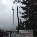 Richard's Tree Service - Tree Service