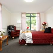 Gallery Image Number 5