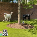 Big Bully Turf