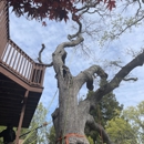 L & E Tree Service LLC - Tree Service