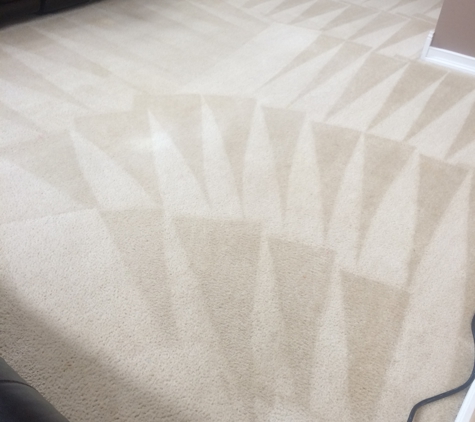 Emko's Carpet Cleaning Service - Bartlett, IL. Residential Carpet Cleaning Service in Streamwood, IL