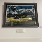 Gallery Image Number 2