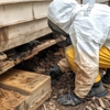 Hunter Pest Services gallery