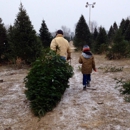 Williams Tree Farm - Christmas Trees