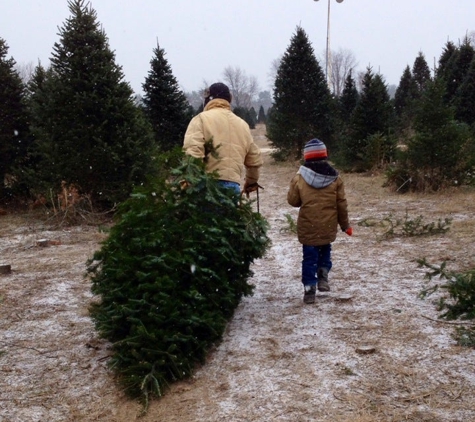 Williams Tree Farm - Rockton, IL