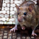 Keene Pest Control - Pest Control Equipment & Supplies