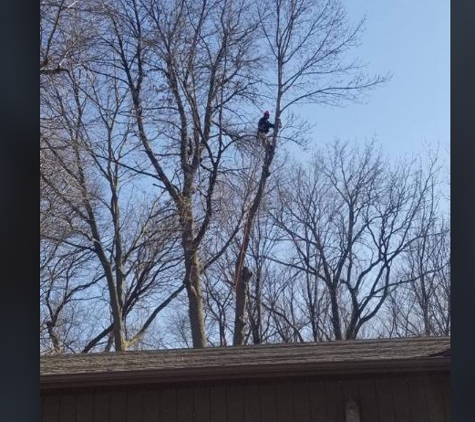 Accurate Tree Service LLC - Verona, WI