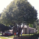 Nebraska Tree Service - Tree Service