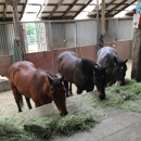 Jackson Hill Stable - Horse Boarding