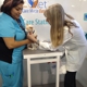 EZ Vet Pet Care Station- Davie