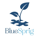BlueSprig - Mental Health Services