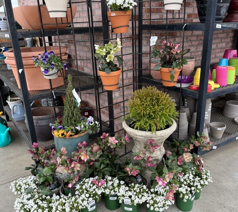 Mayo Garden Centers - Knoxville, TN