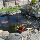 Aquarium & Pond Care
