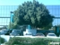 Arizona Pool Fence Inc - Swimming Pool Covers & Enclosures