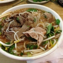 Oodles of Noodles - Asian Restaurants