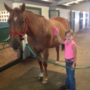 Diamond P Equestrian Center, LLC - Horse Training