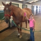 Diamond P Equestrian Center, LLC