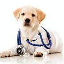 Animal Medical Center - Pet Services
