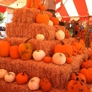 Photo #01