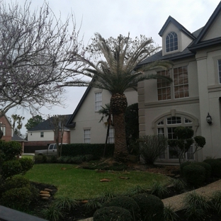 Orellanas Tree Service - Houston, TX