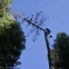 Waraner Bros. Tree Service