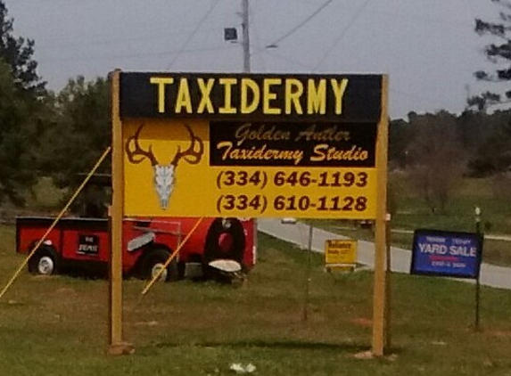 Golden Antler Taxidermy Studio - Roanoke, AL