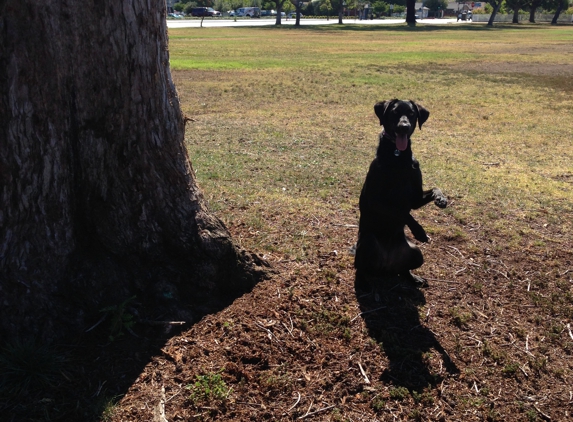 Sit Means Sit Dog Training - San Jose, CA