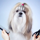 Cindy's Pet Grooming - Pet Grooming