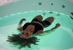 Krysus - Day Spas