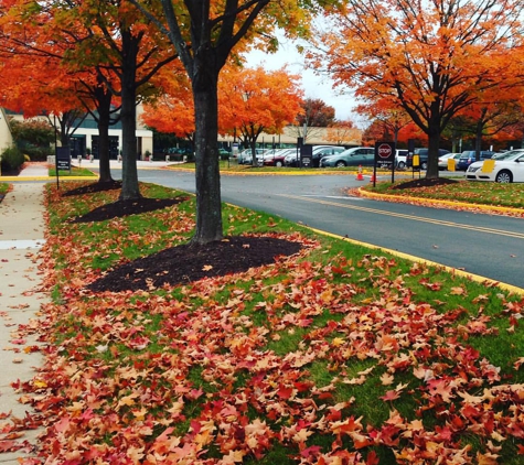 Seventh-day Adventist church - Silver Spring, MD