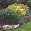 Jardin Landscaping & Lawn Care gallery