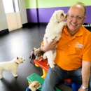 Central Bark Doggy Day Care - Dog Day Care