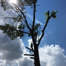 callahan and son tree service - Tree Service